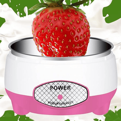 Electric Yogurt Maker Machine | Automatic Yogurt Maker for Home with Stainless Steel Container